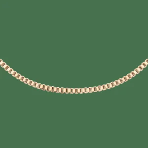 Daniel Wellington Box Chain Necklace RG> Collane