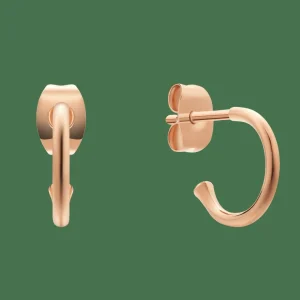 Daniel Wellington Charms Earrings> Orecchini | Ciondoli