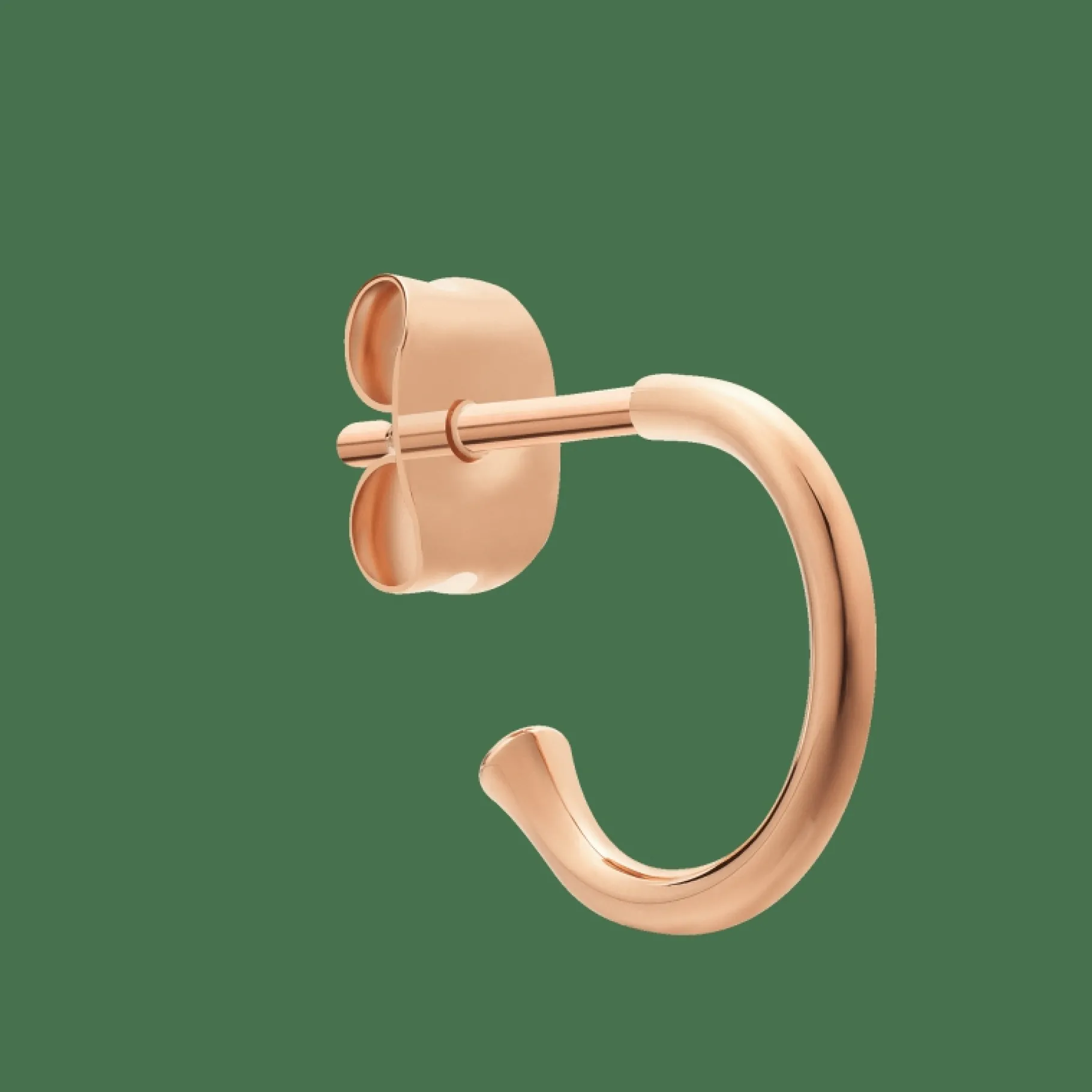 Daniel Wellington Charms Earrings> Orecchini | Ciondoli