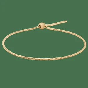 Daniel Wellington Charms Snake Bracelet G> Bracciali