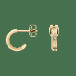 Daniel Wellington Classic Lumine> Orecchini
