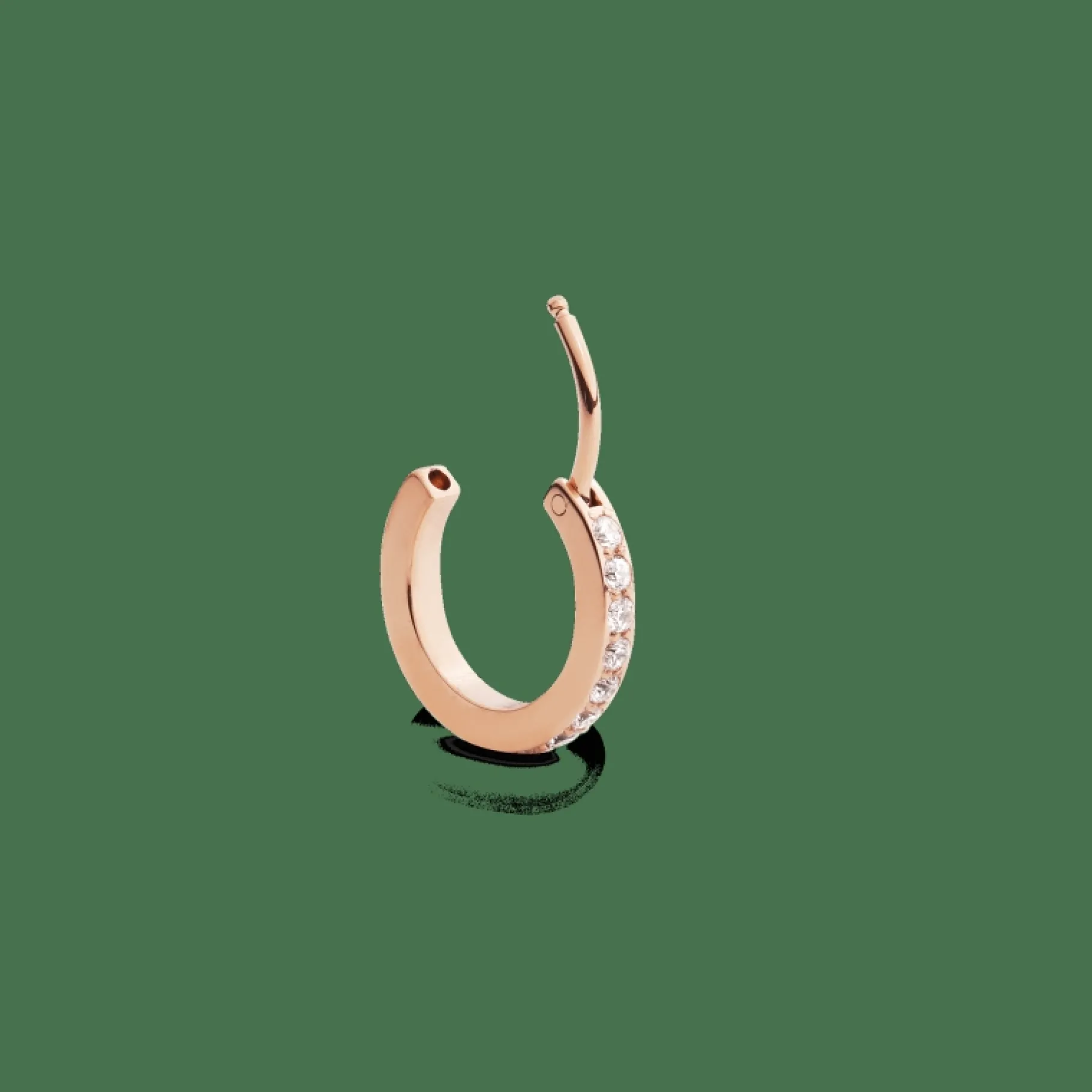 Daniel Wellington Crystal Hoop Earring> Orecchini
