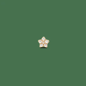 Daniel Wellington Crystal Star Stud> Orecchini