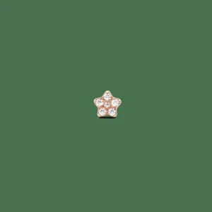 Daniel Wellington Crystal Star Stud> Orecchini