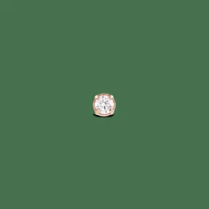 Daniel Wellington Crystal Stud> Orecchini