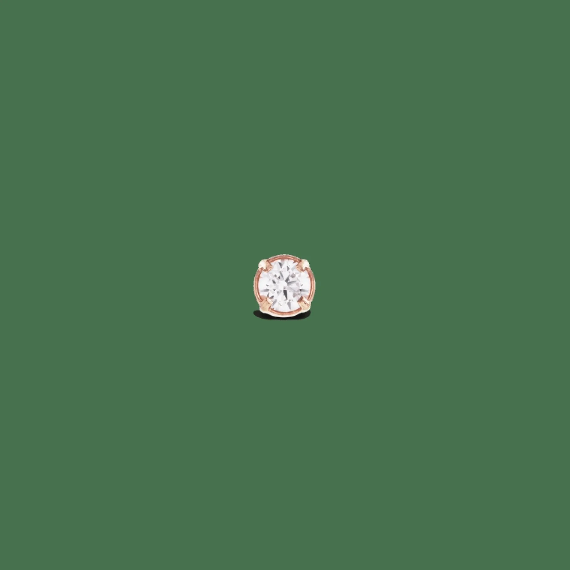 Daniel Wellington Crystal Stud> Orecchini