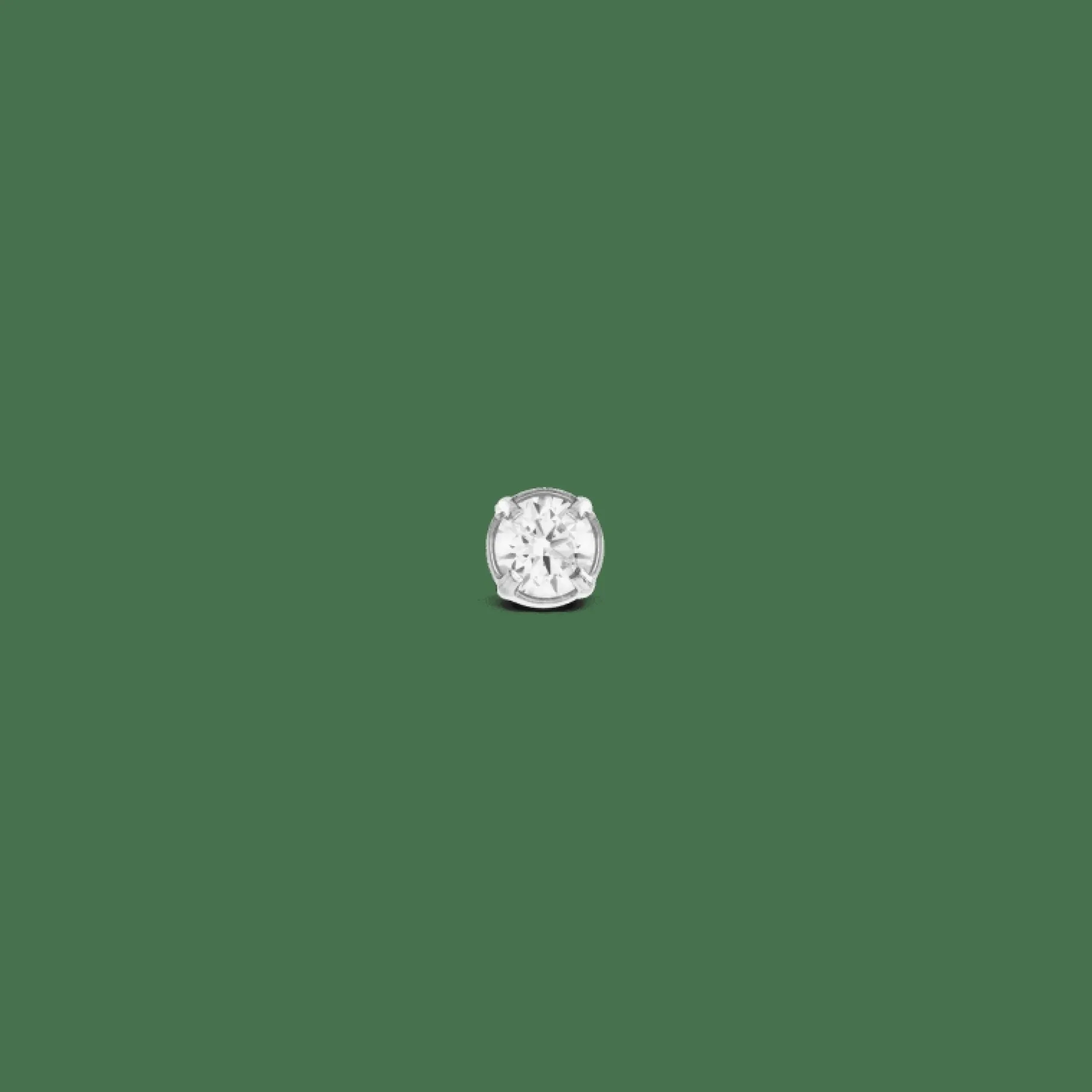 Daniel Wellington Crystal Stud> Orecchini
