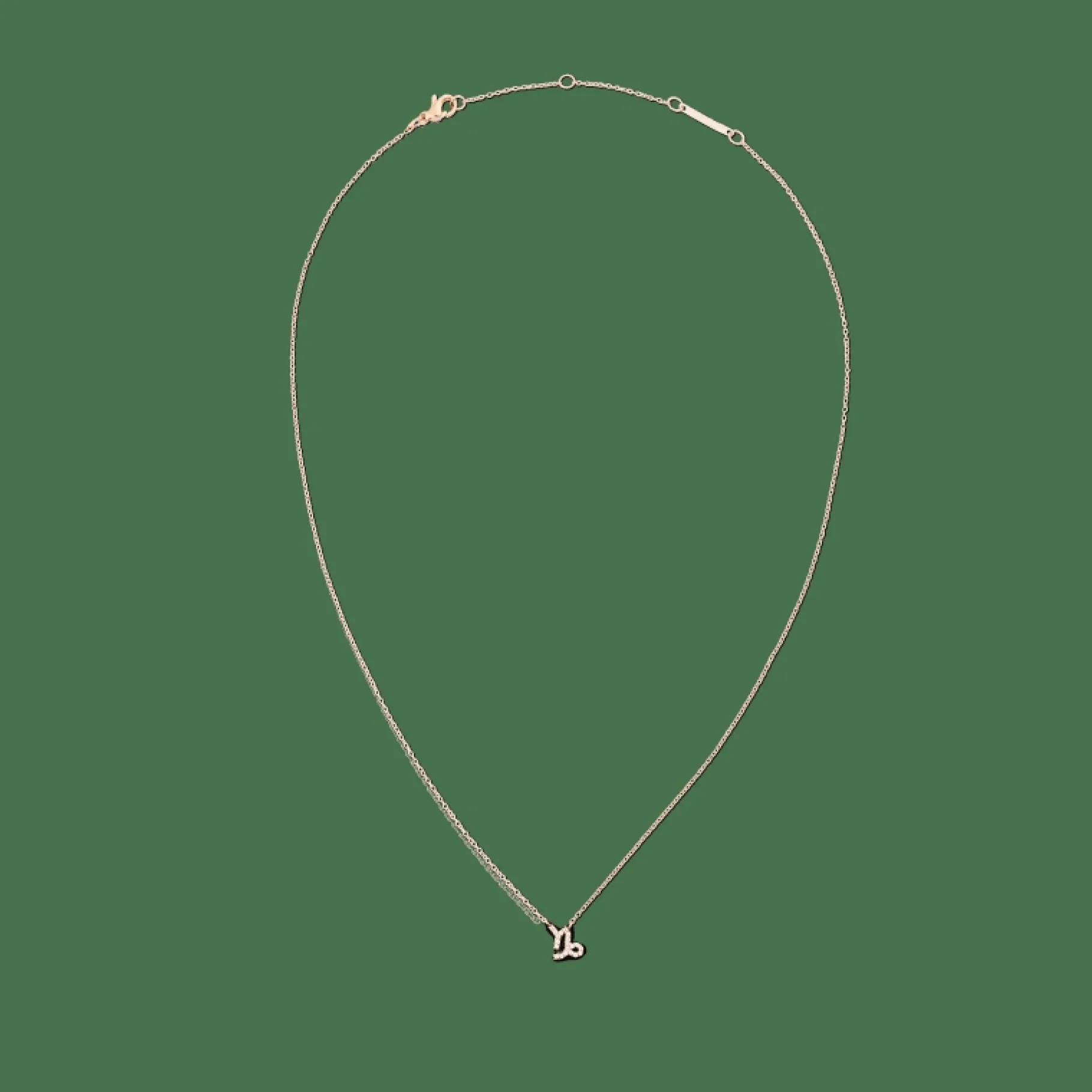 Daniel Wellington Crystal Zodiac Chain Necklace> Collane