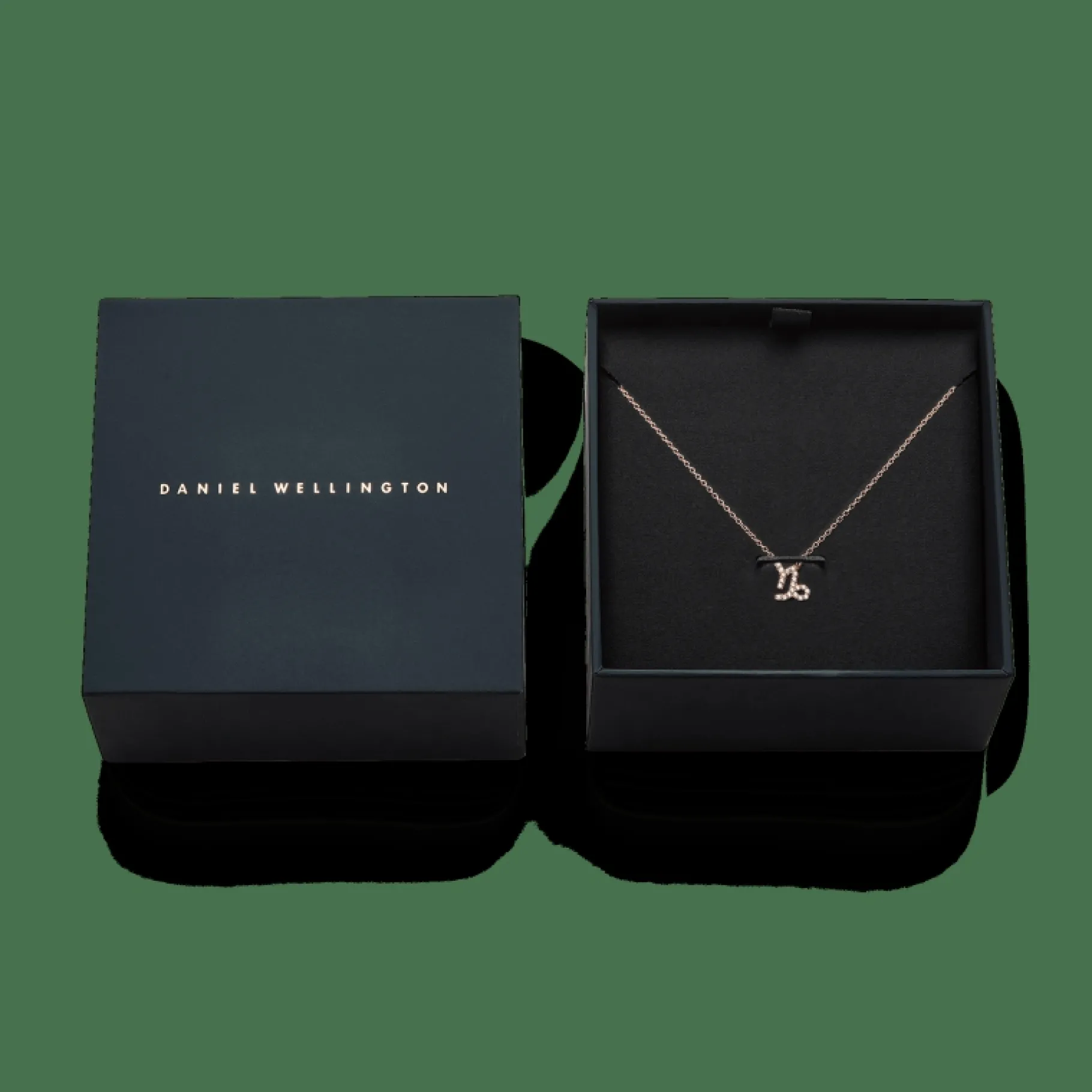 Daniel Wellington Crystal Zodiac Chain Necklace> Collane