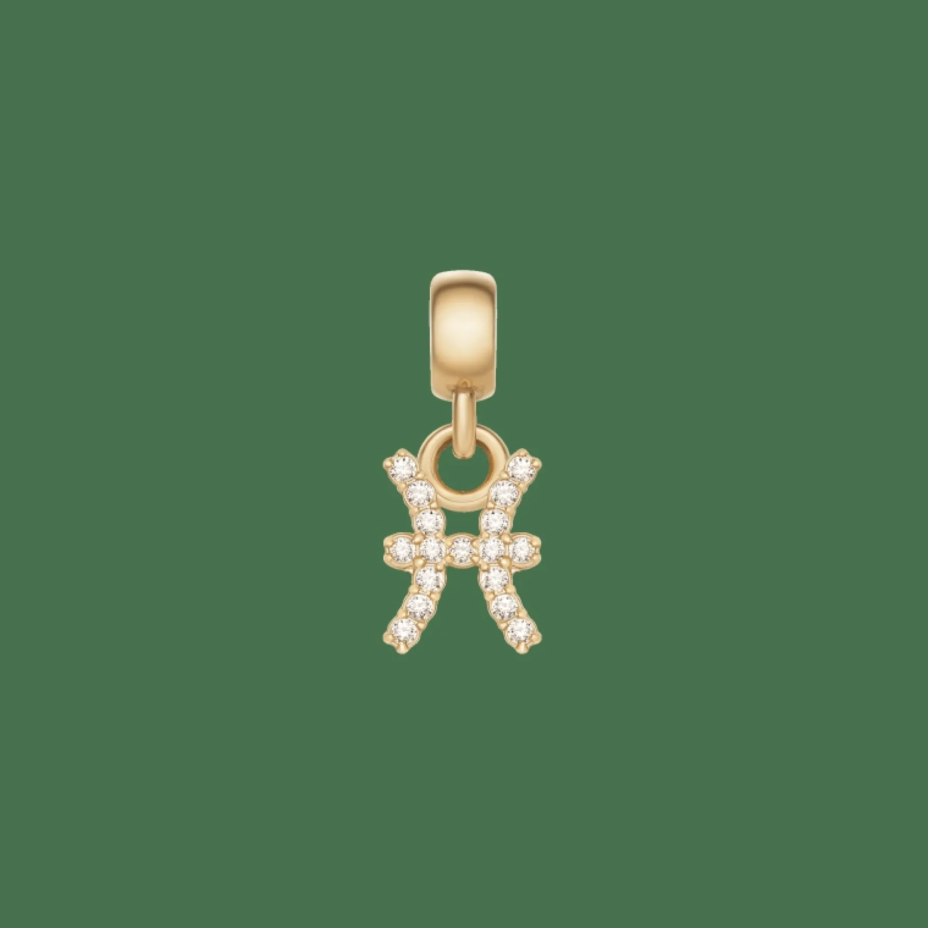 Daniel Wellington Crystal Zodiac Charm> Ciondoli