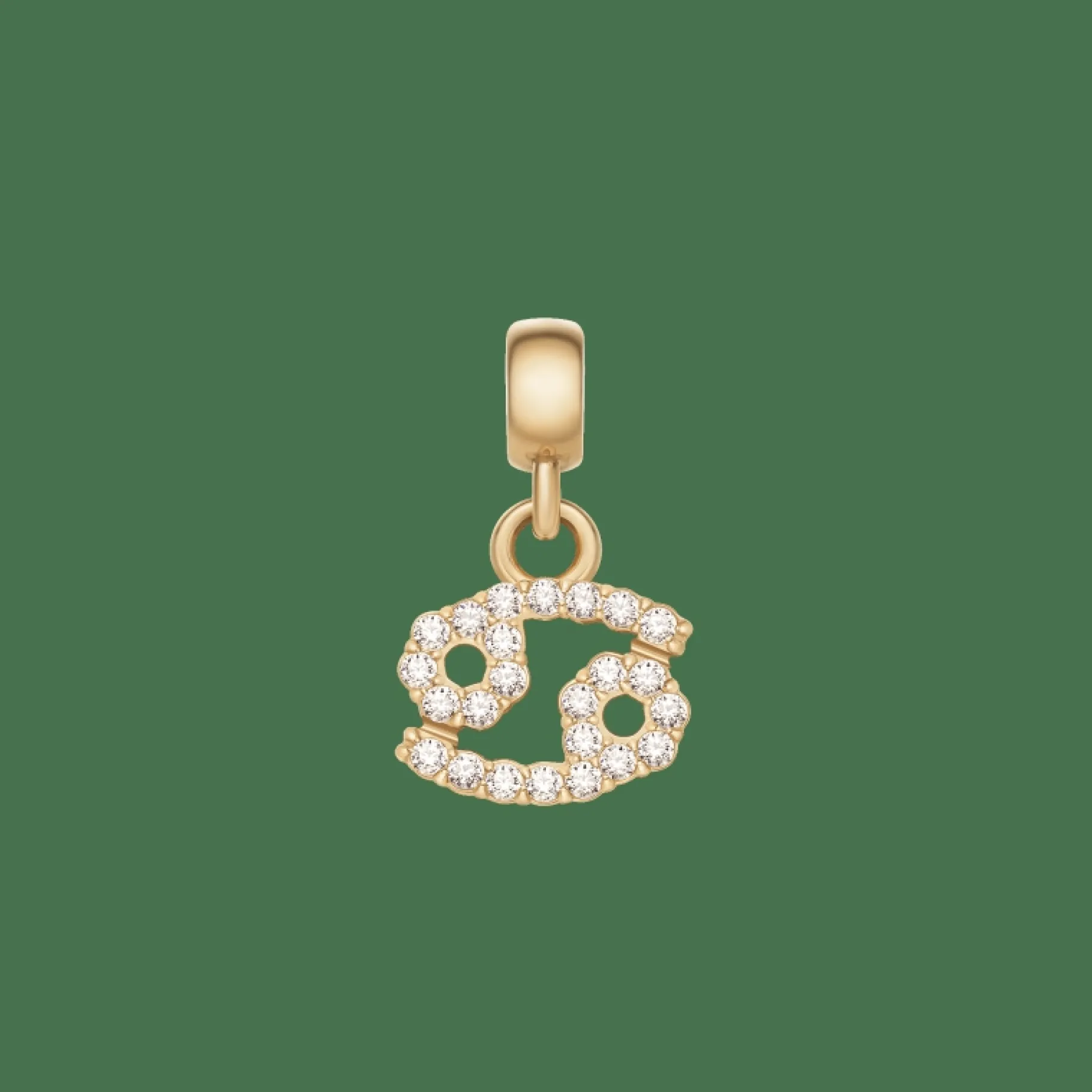 Daniel Wellington Crystal Zodiac Charm> Ciondoli