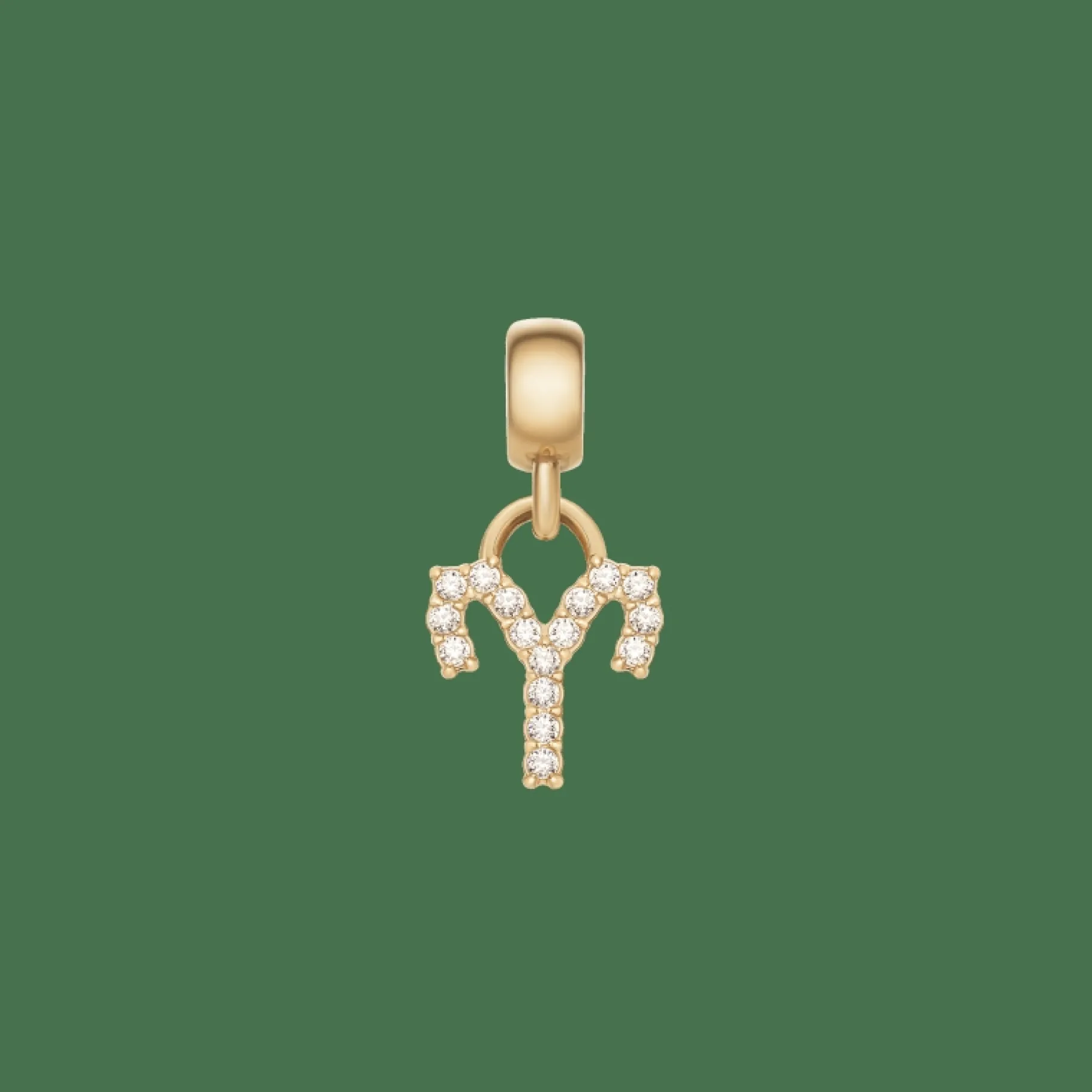 Daniel Wellington Crystal Zodiac Charm> Ciondoli