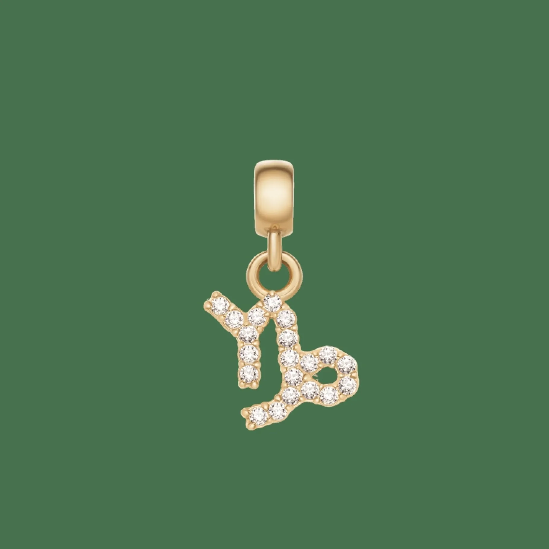 Daniel Wellington Crystal Zodiac Charm> Ciondoli