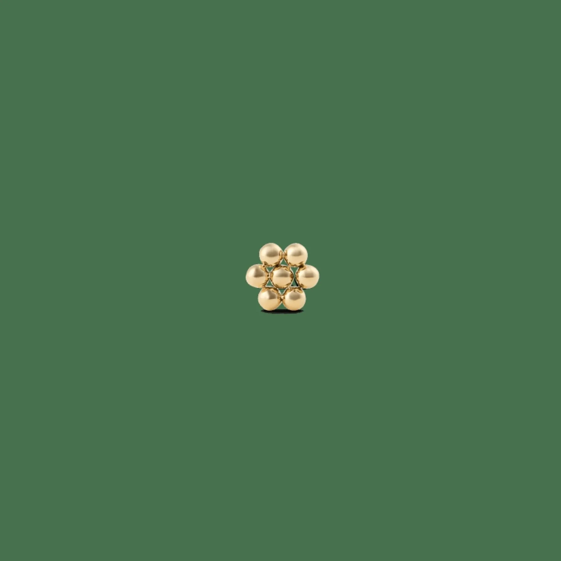 Daniel Wellington Flower Stud> Orecchini