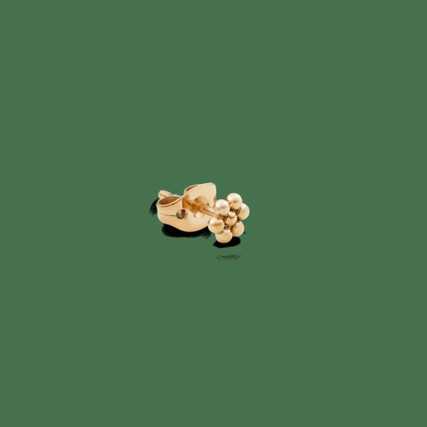 Daniel Wellington Flower Stud> Orecchini