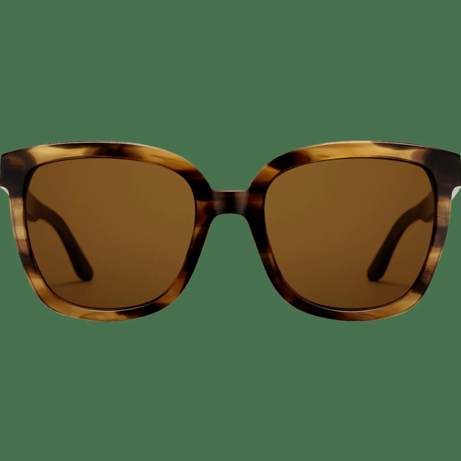 Daniel Wellington Grande Bio-Acetate> Occhiali Da Sole