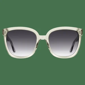 Daniel Wellington Grande Bio-Acetate> Occhiali Da Sole