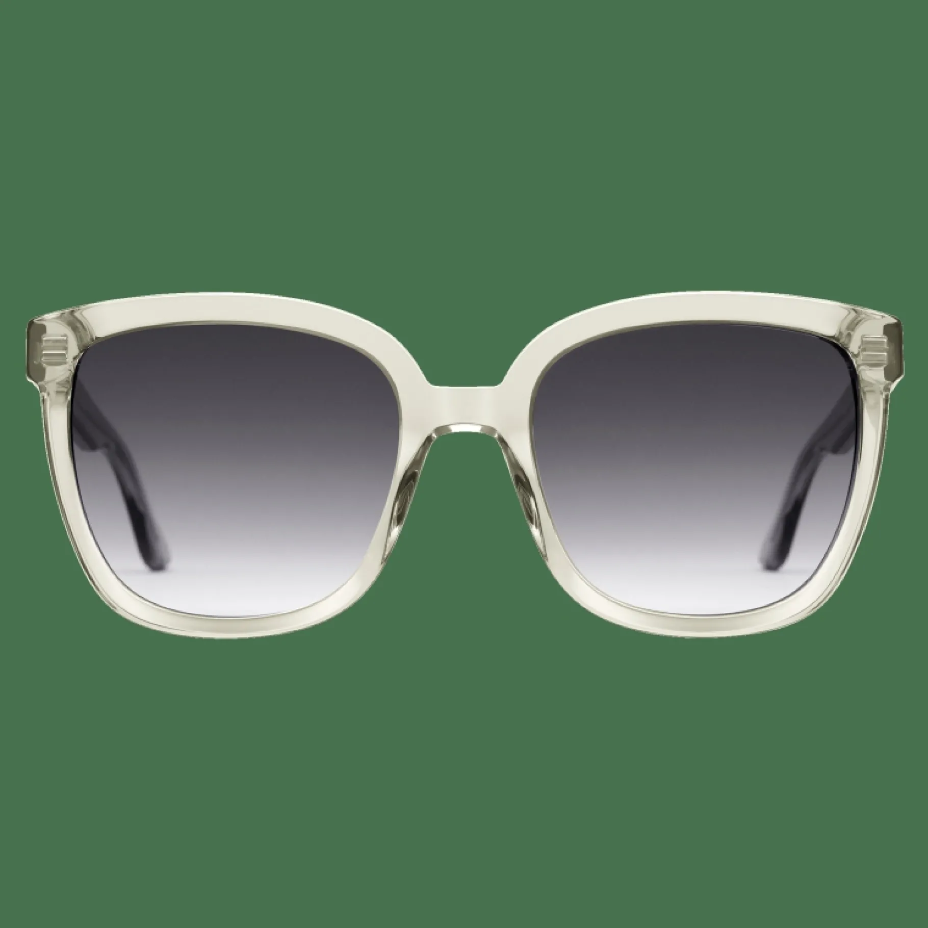Daniel Wellington Grande Bio-Acetate> Occhiali Da Sole