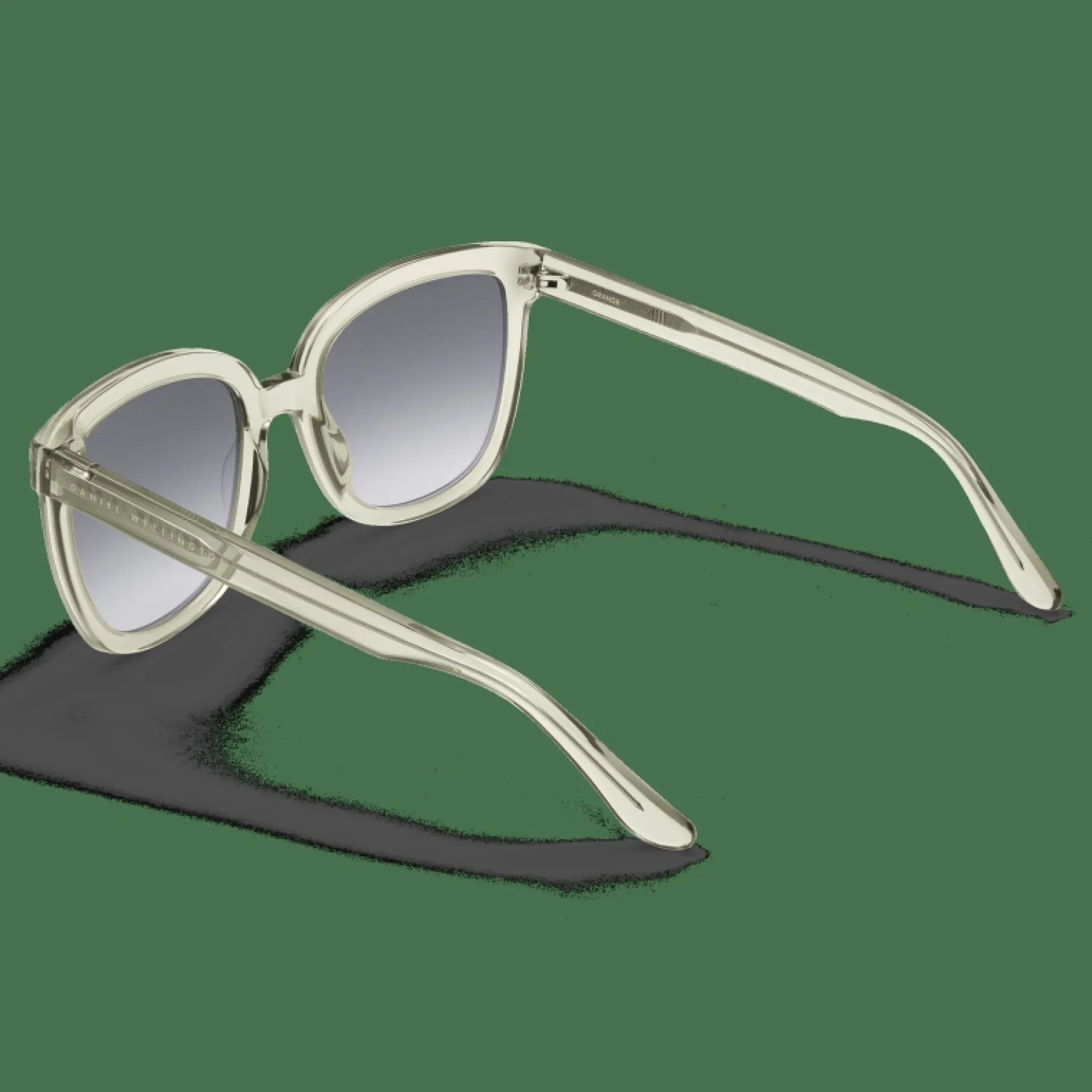 Daniel Wellington Grande Bio-Acetate> Occhiali Da Sole