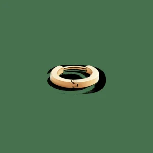 Daniel Wellington Hoop Earring> Orecchini