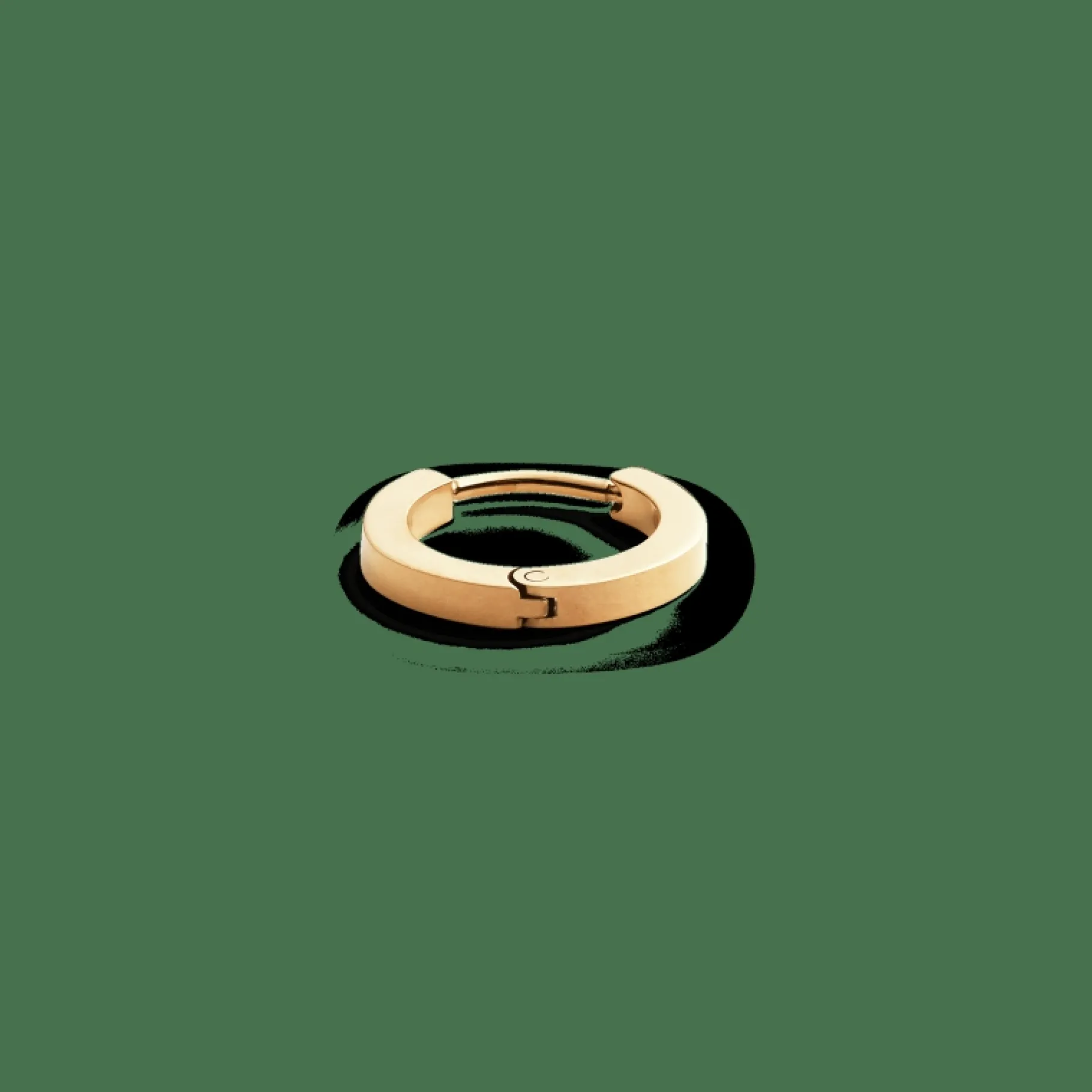 Daniel Wellington Hoop Earring> Orecchini