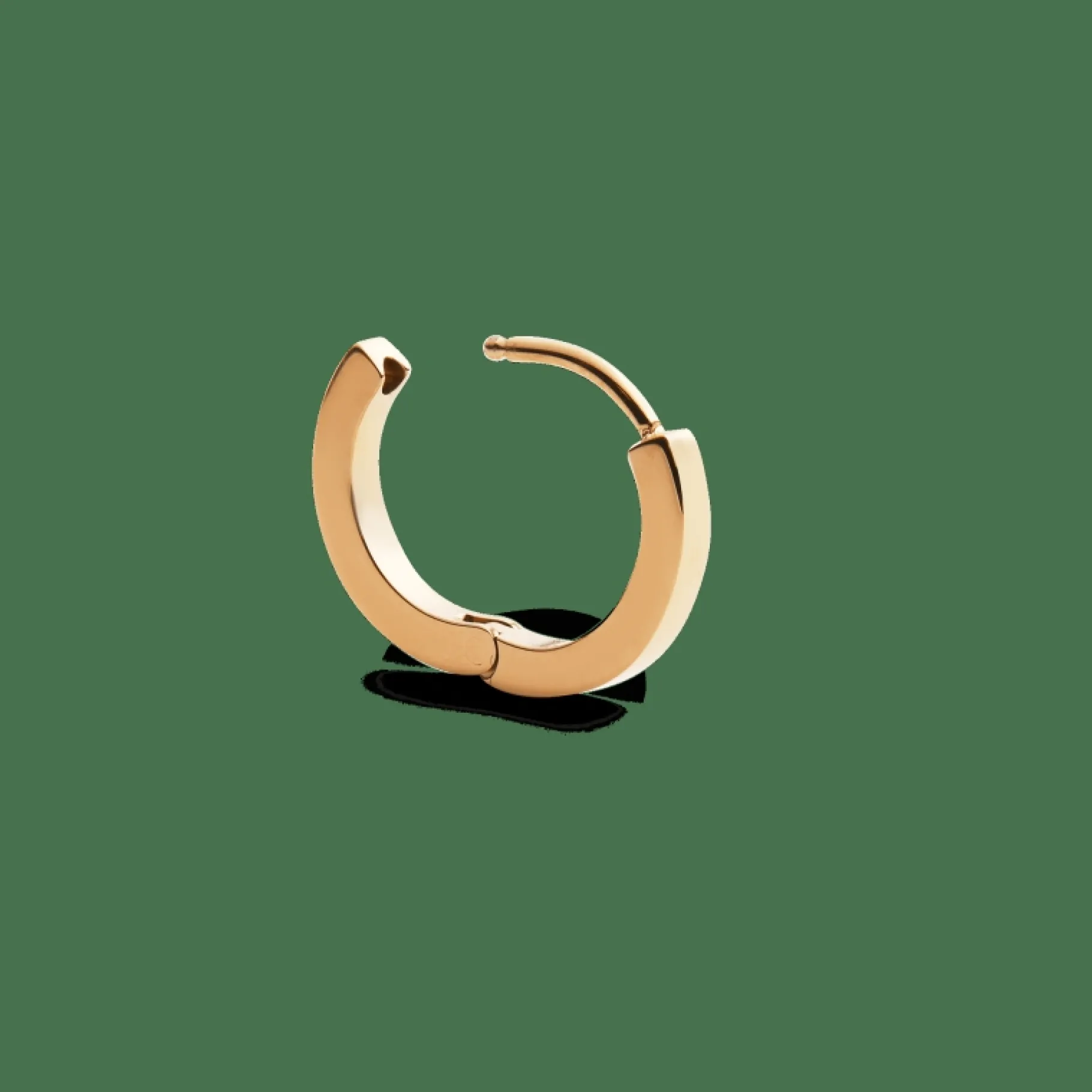 Daniel Wellington Hoop Earring> Orecchini