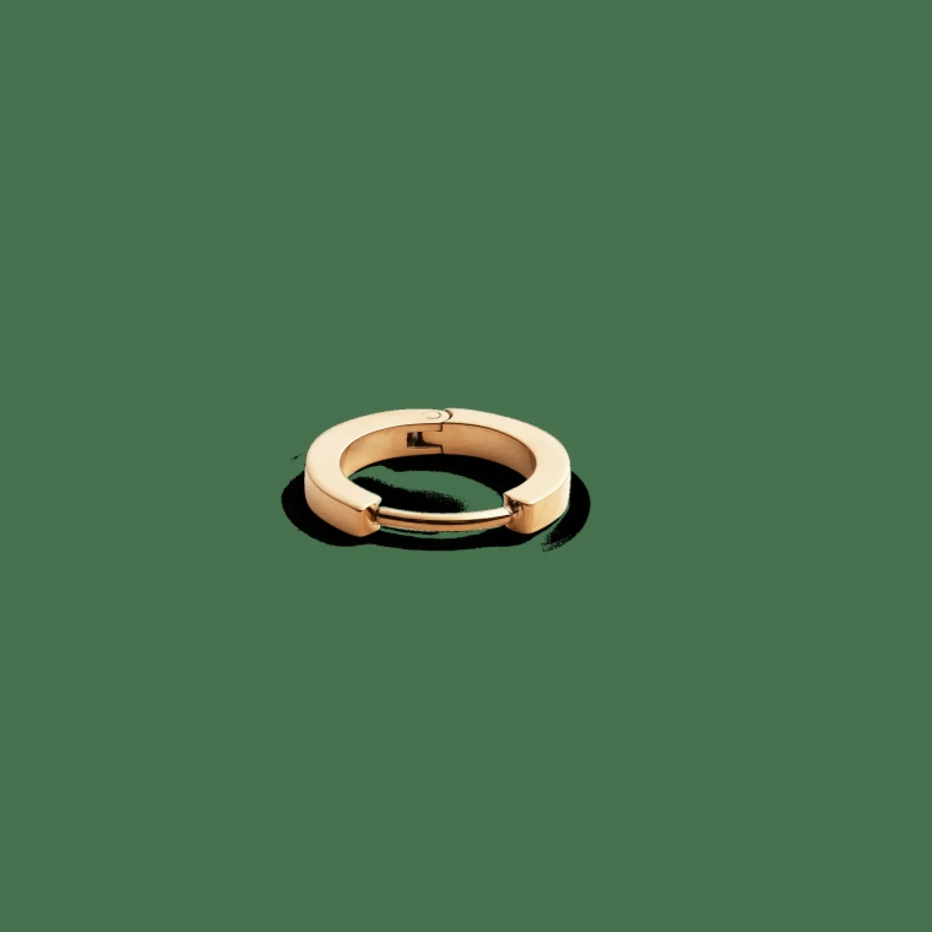 Daniel Wellington Hoop Earring> Orecchini