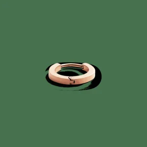 Daniel Wellington Hoop Earring> Orecchini