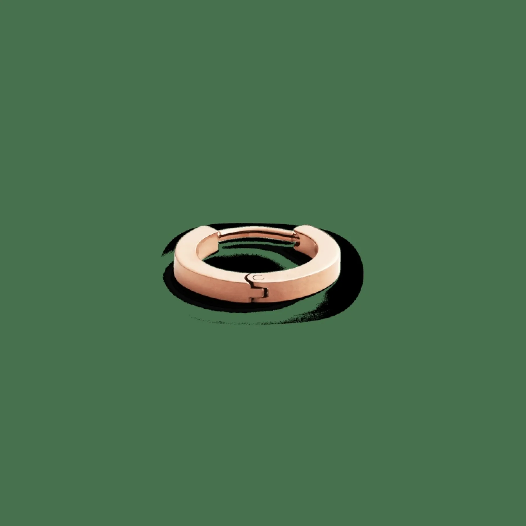 Daniel Wellington Hoop Earring> Orecchini