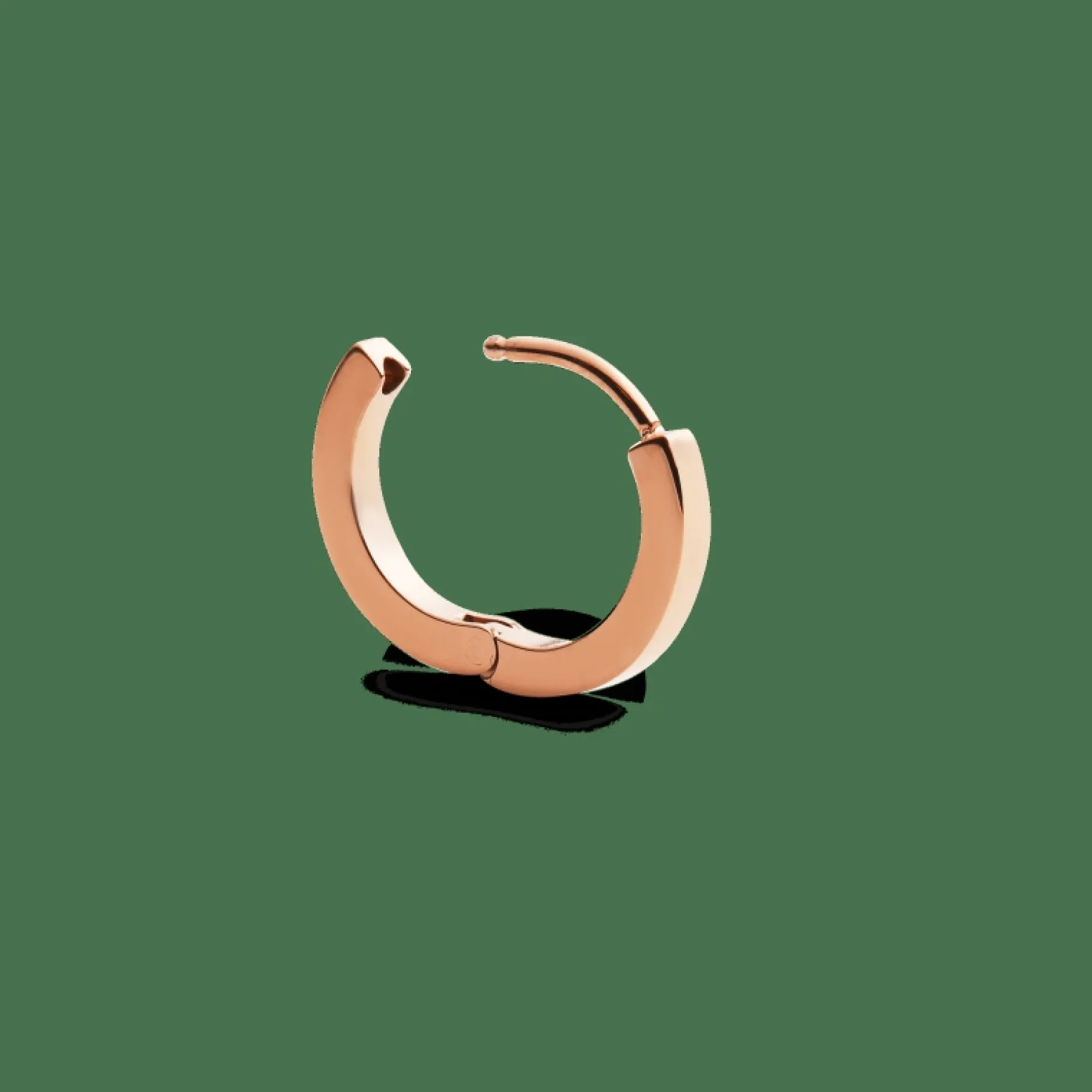 Daniel Wellington Hoop Earring> Orecchini