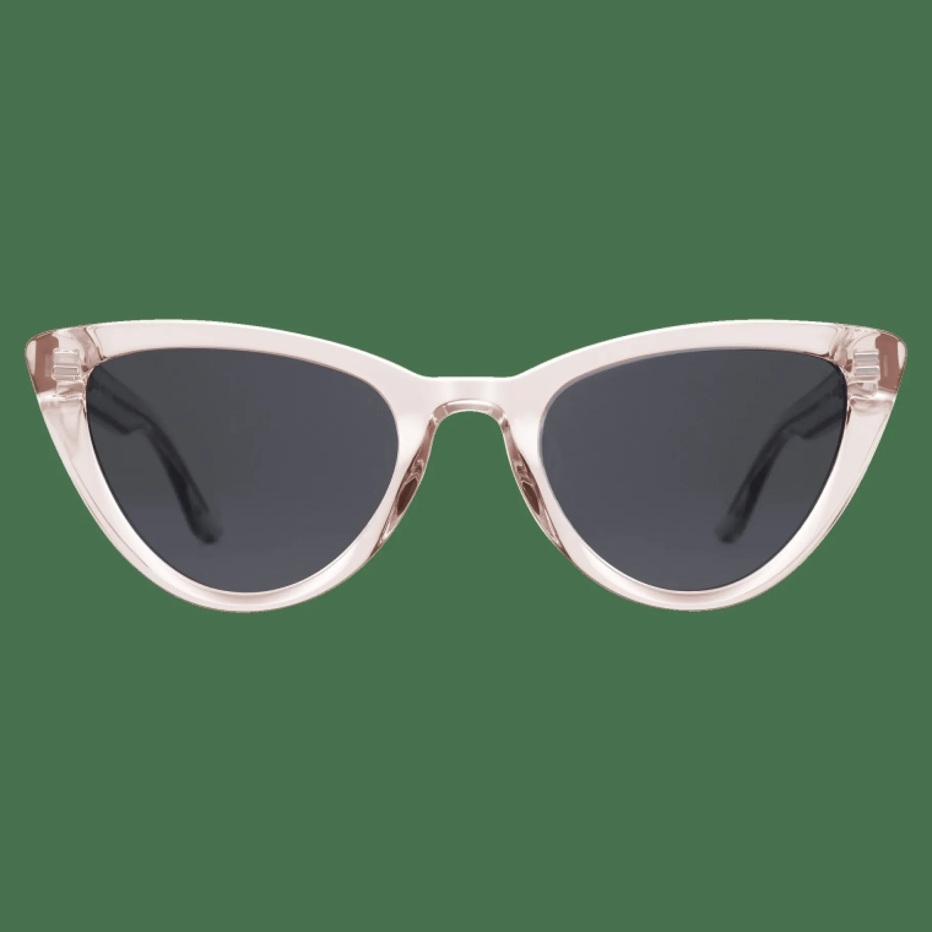 Daniel Wellington Lynx Bio-Acetate /Black> Occhiali Da Sole