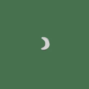Daniel Wellington Moon Stud> Orecchini