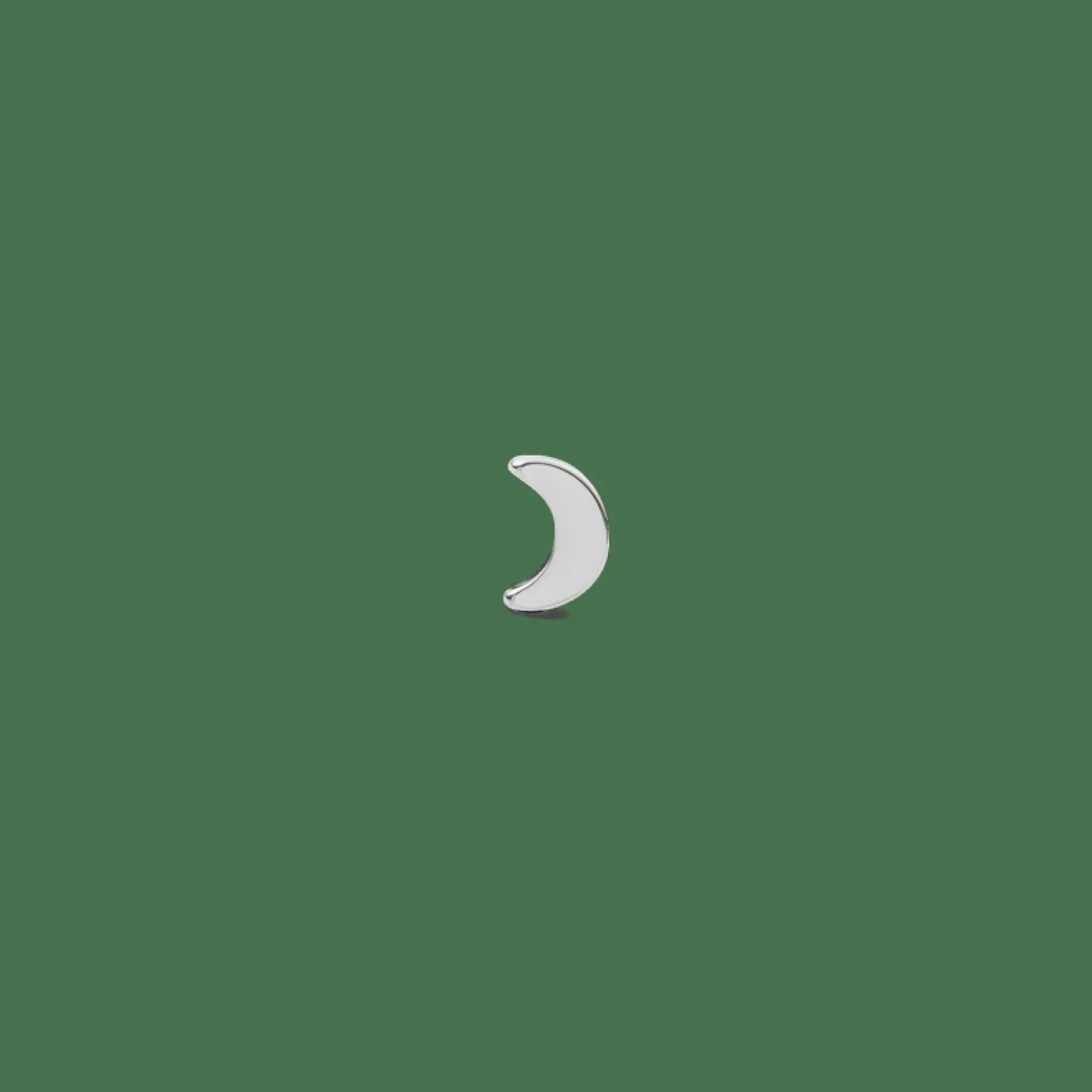 Daniel Wellington Moon Stud> Orecchini