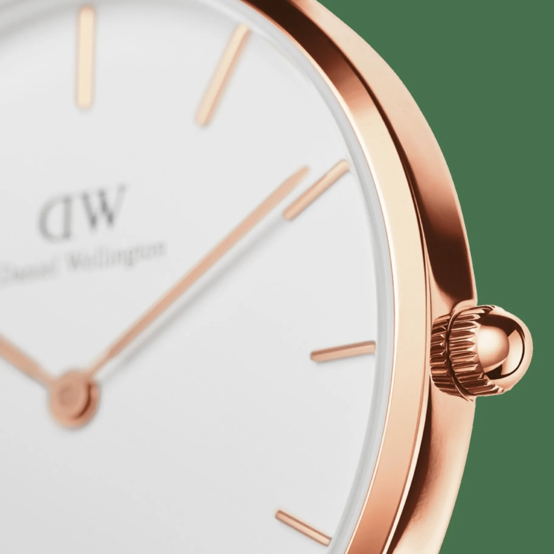 Daniel Wellington Petite Bondi>Donna Orologio Donna