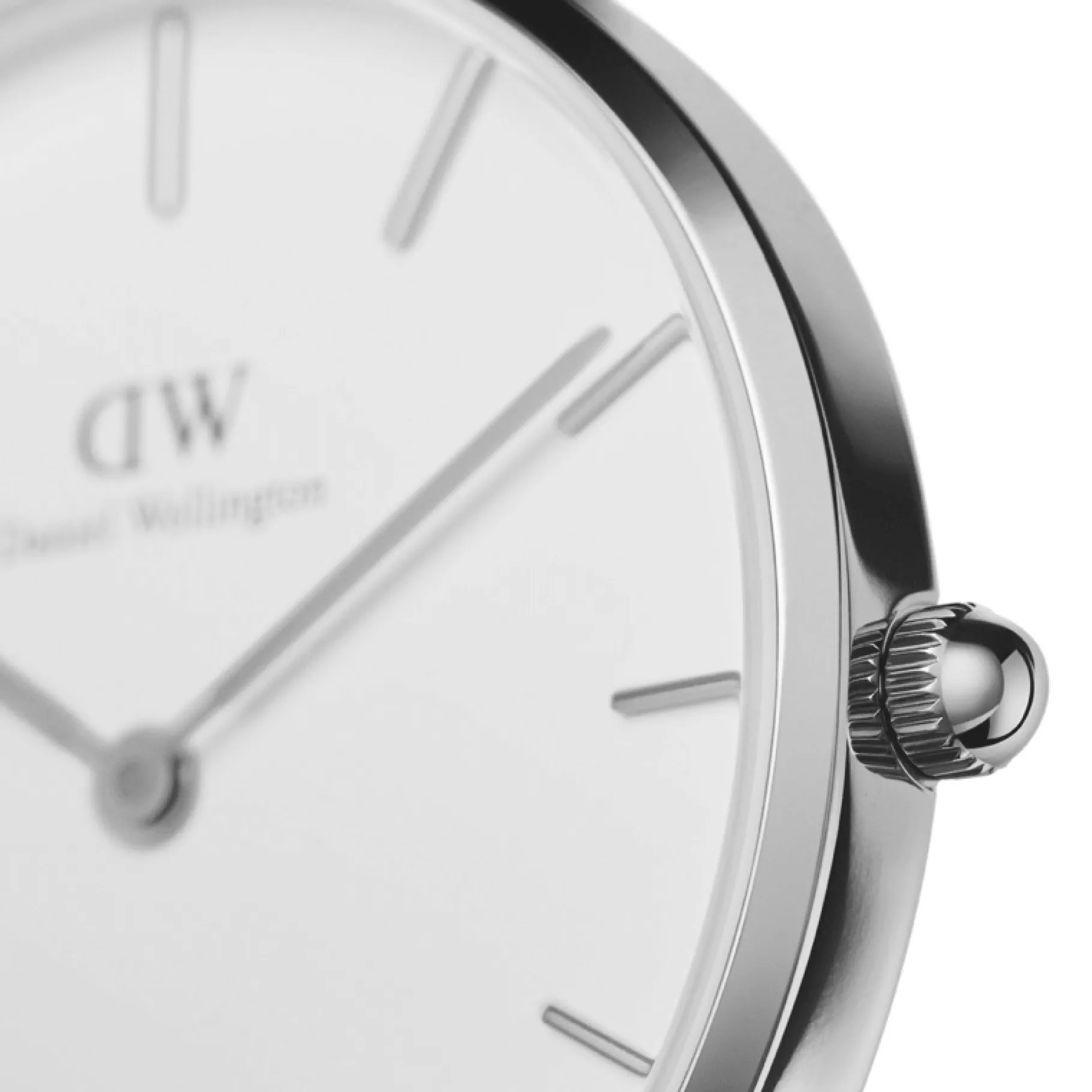Daniel Wellington Petite Bondi>Donna Orologio Donna