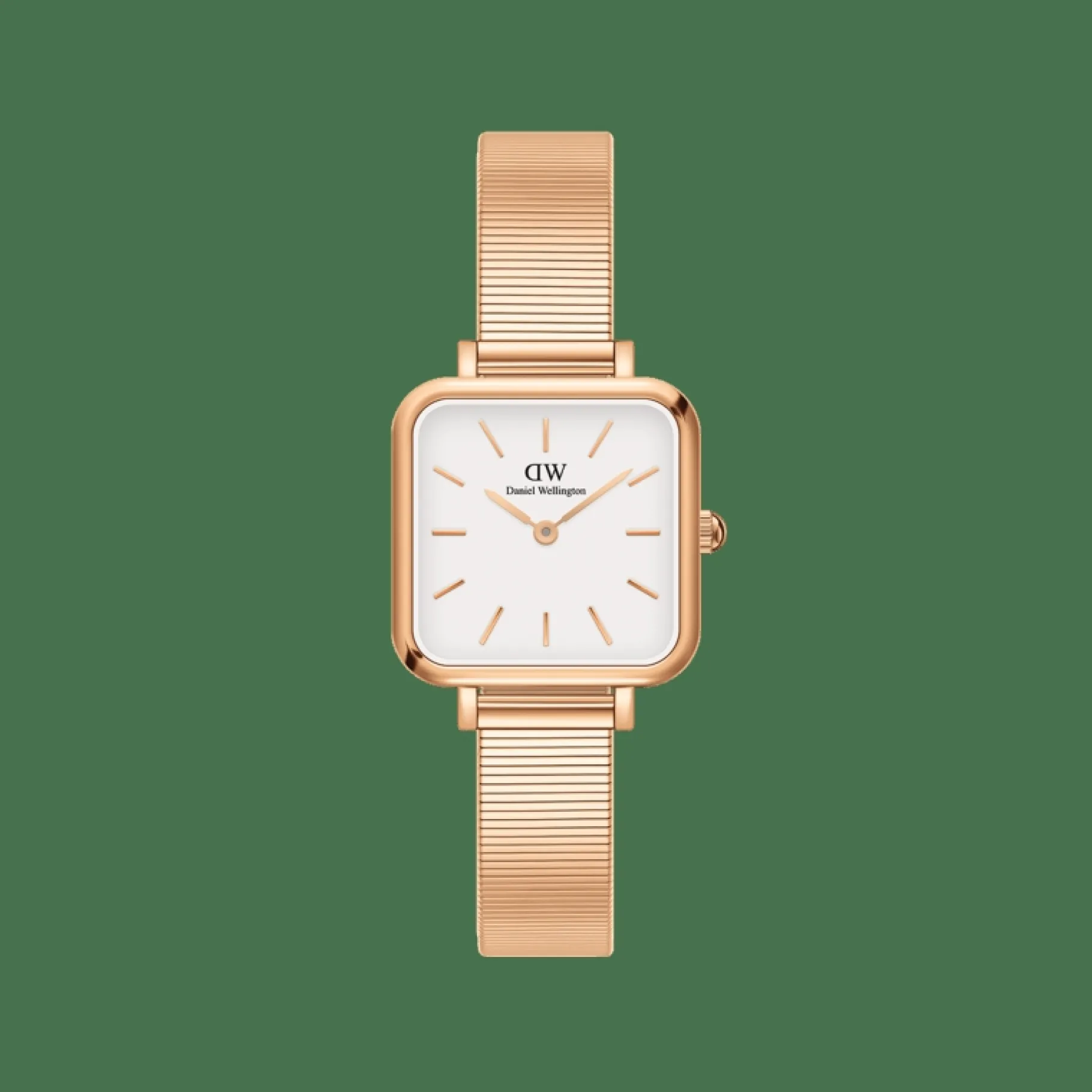 Daniel Wellington Quadro Studio>Donna Orologio Donna